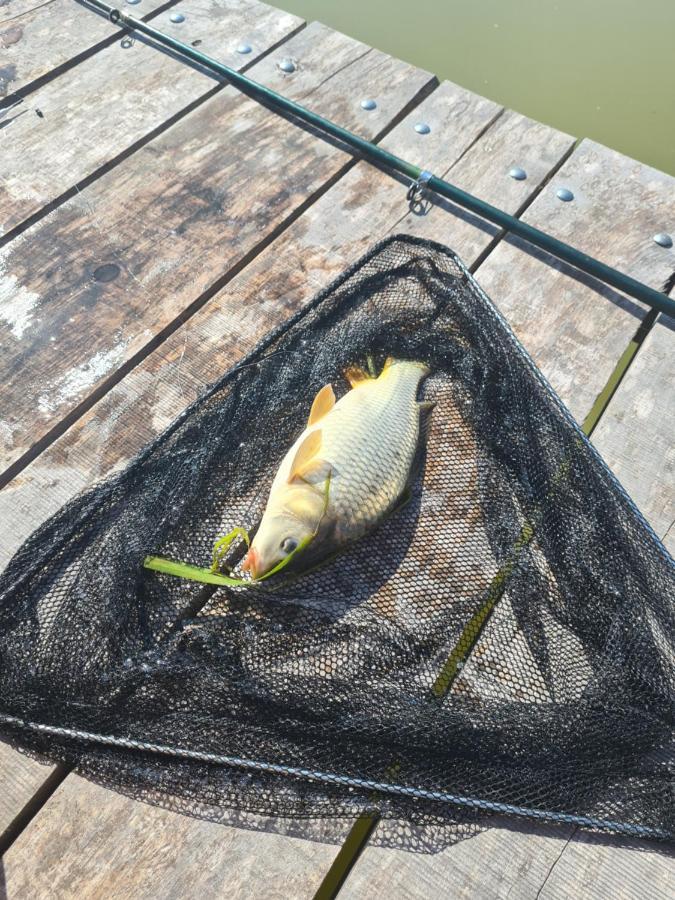 Dworek Ogrodniki, Caloroczny Dom Na Wylacznosc, Basen, Sauna, Las, Staw Rybny, Altana Grillowa, Ognisko, Pianino, Kominek, Piec Chlebowy, Duza Ogrodzona Posesja Tuczna Exteriör bild